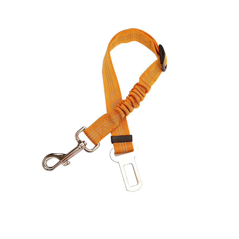 Orange dog car seat belt