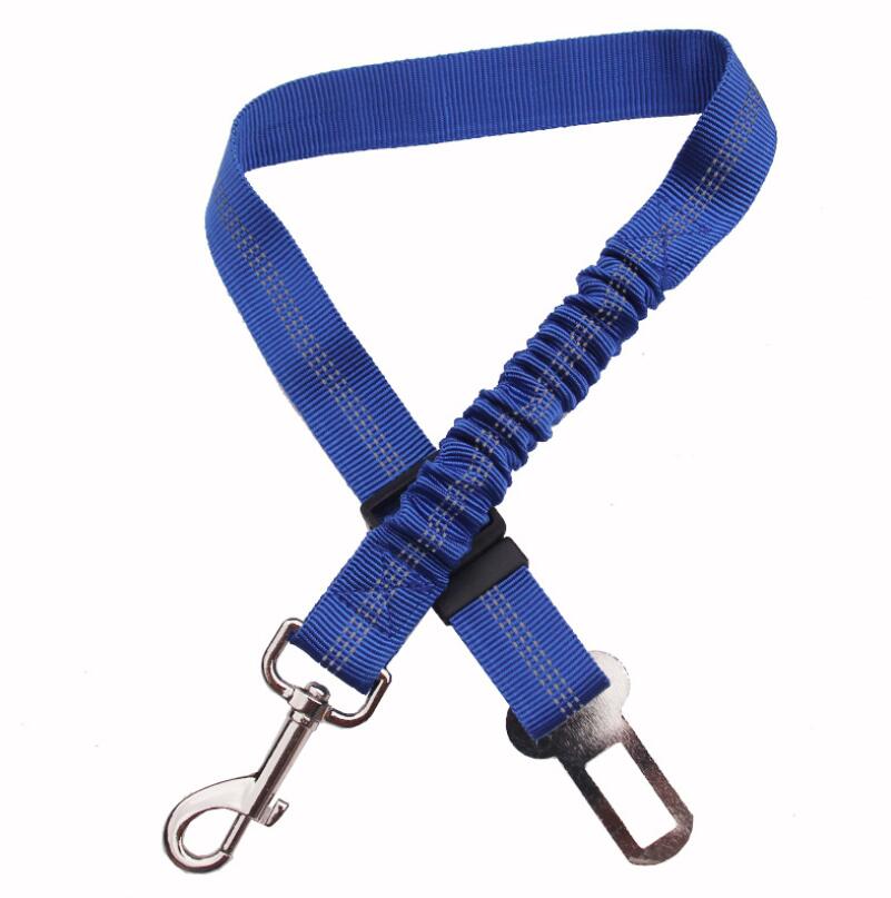 Blue dog car seat belt