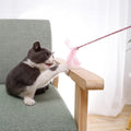 Cat playing with a feather wand