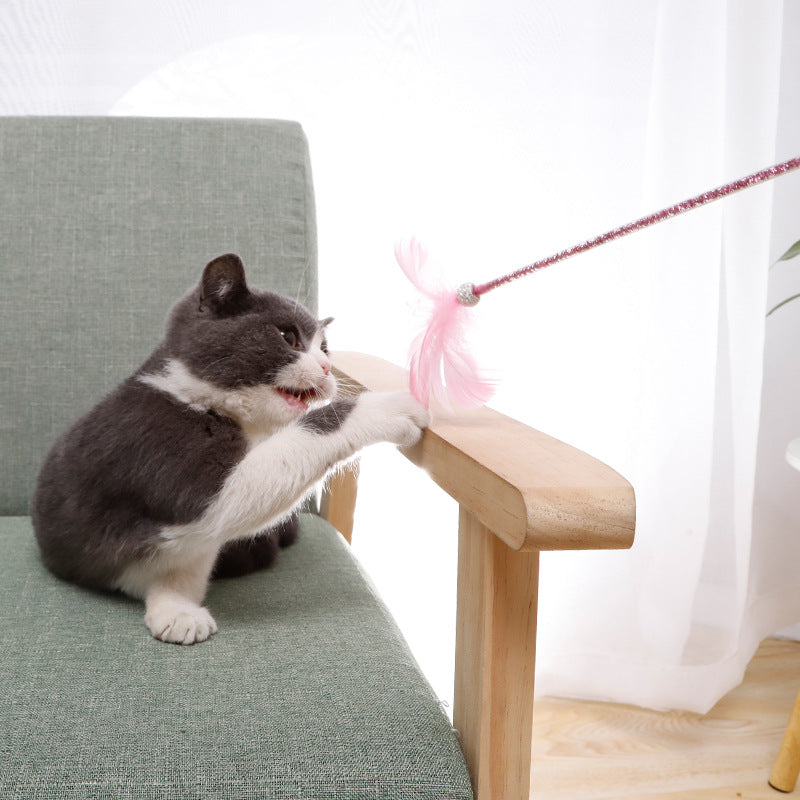 Cat playing with a feather wand