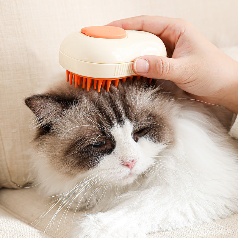 Mist grooming brush used on a cat