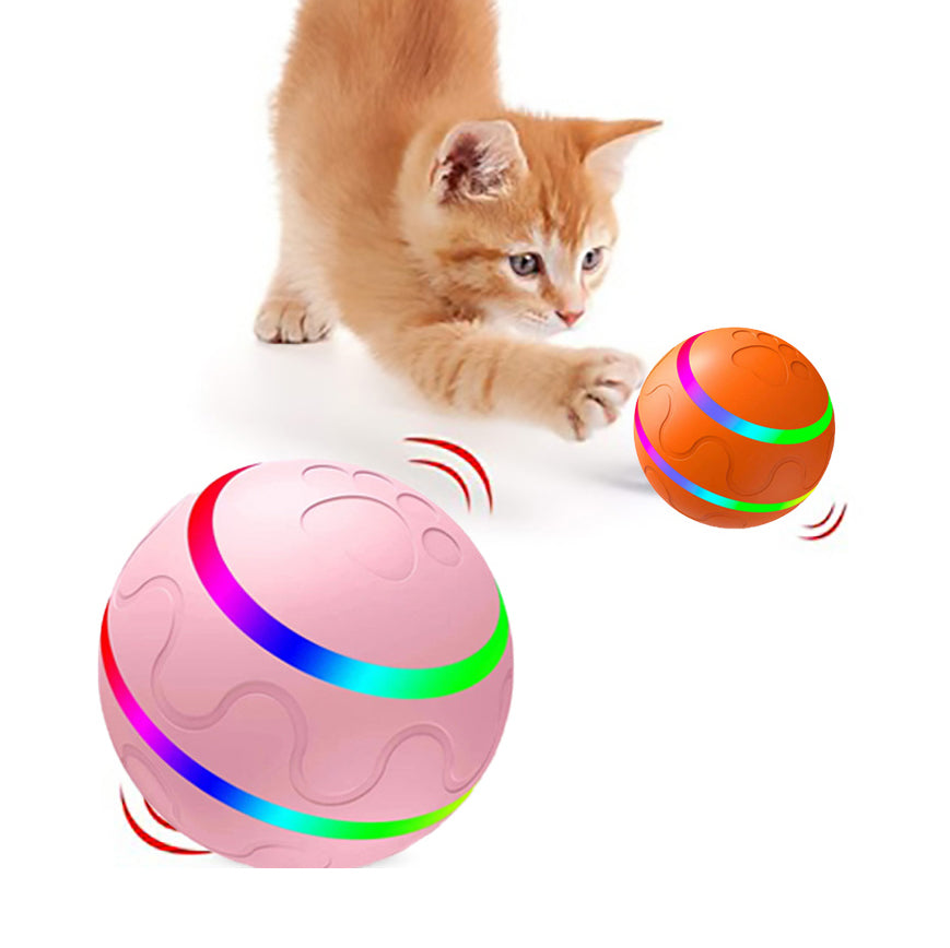 Cat playing with rolling balls