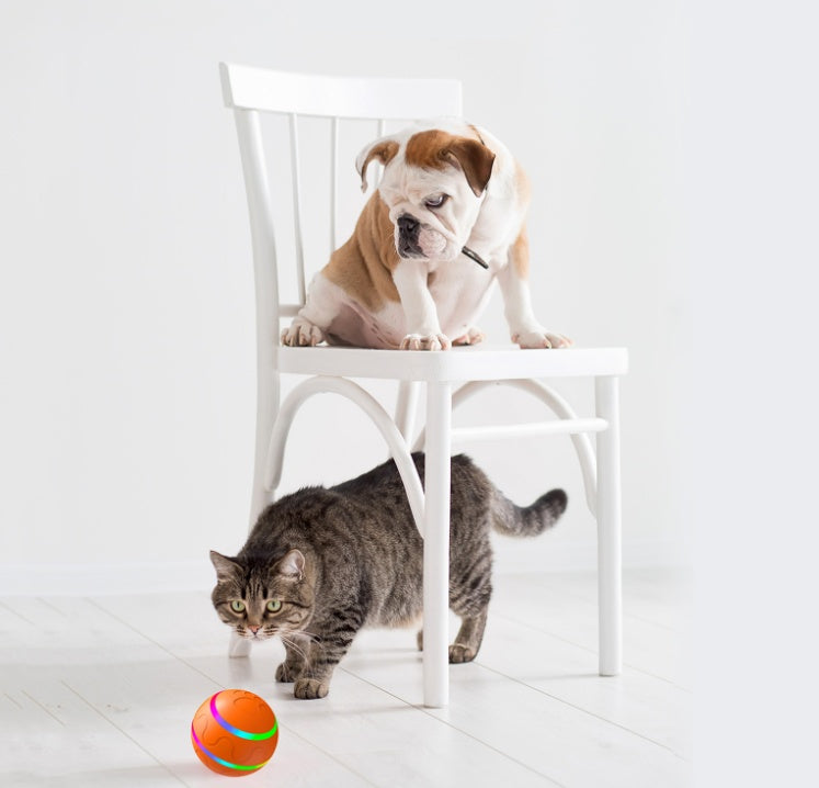 Cat and dog with self-rolling ball