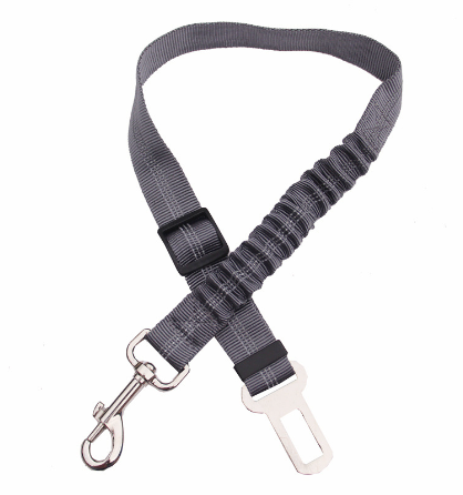 Grey dog car seat belt