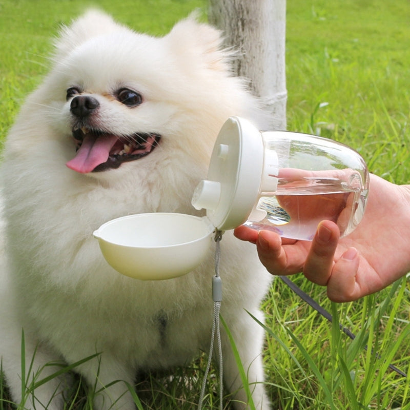 Portable dog water bottle with drinking cup