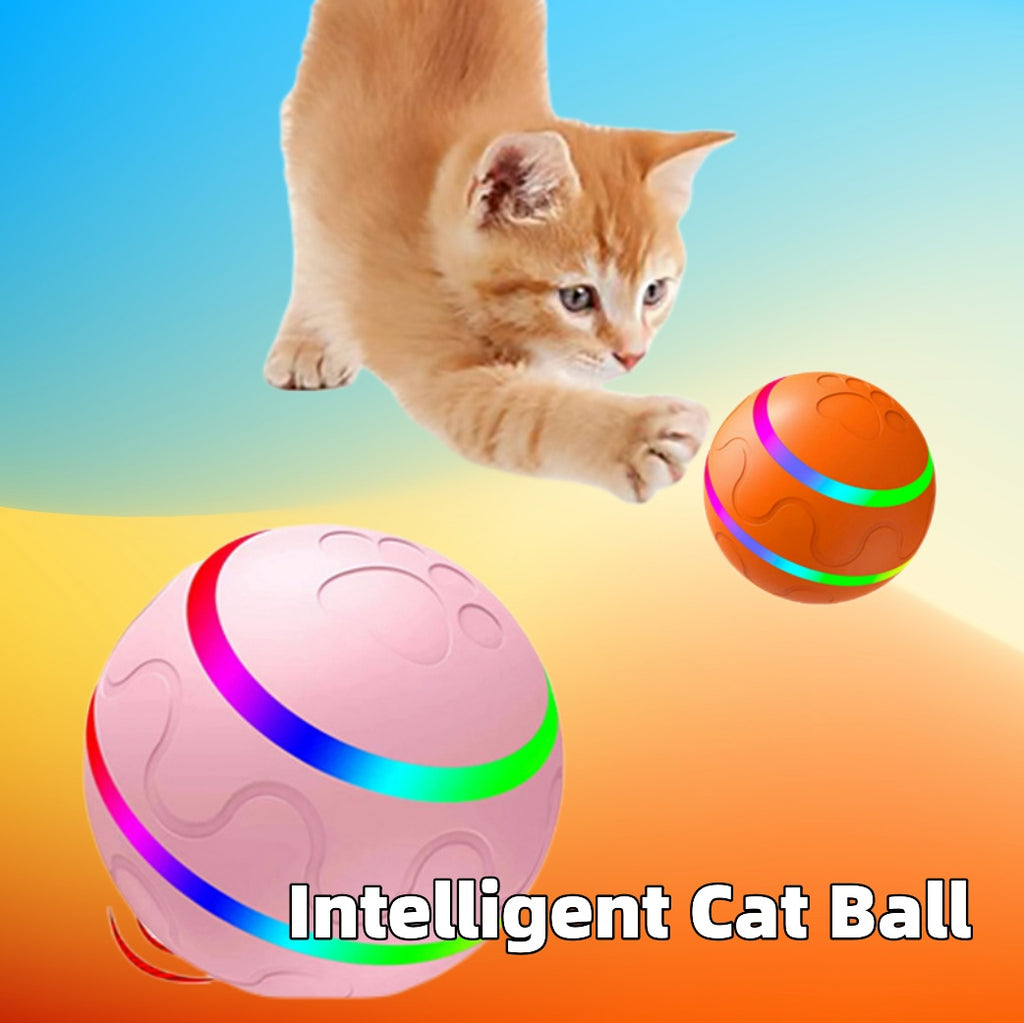 Kitten chasing a self-rolling cat ball